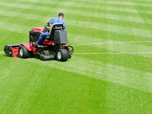 Gang Mowing groundcare operations in | Craven | Pendle | Lancashire | North Yorkshire | Burnley | Blackburn | Hyndburn | Preston | Haslingden | Rossendale | Darwen | Ribble Valley | Settle | Long Preston | Giggleswick |